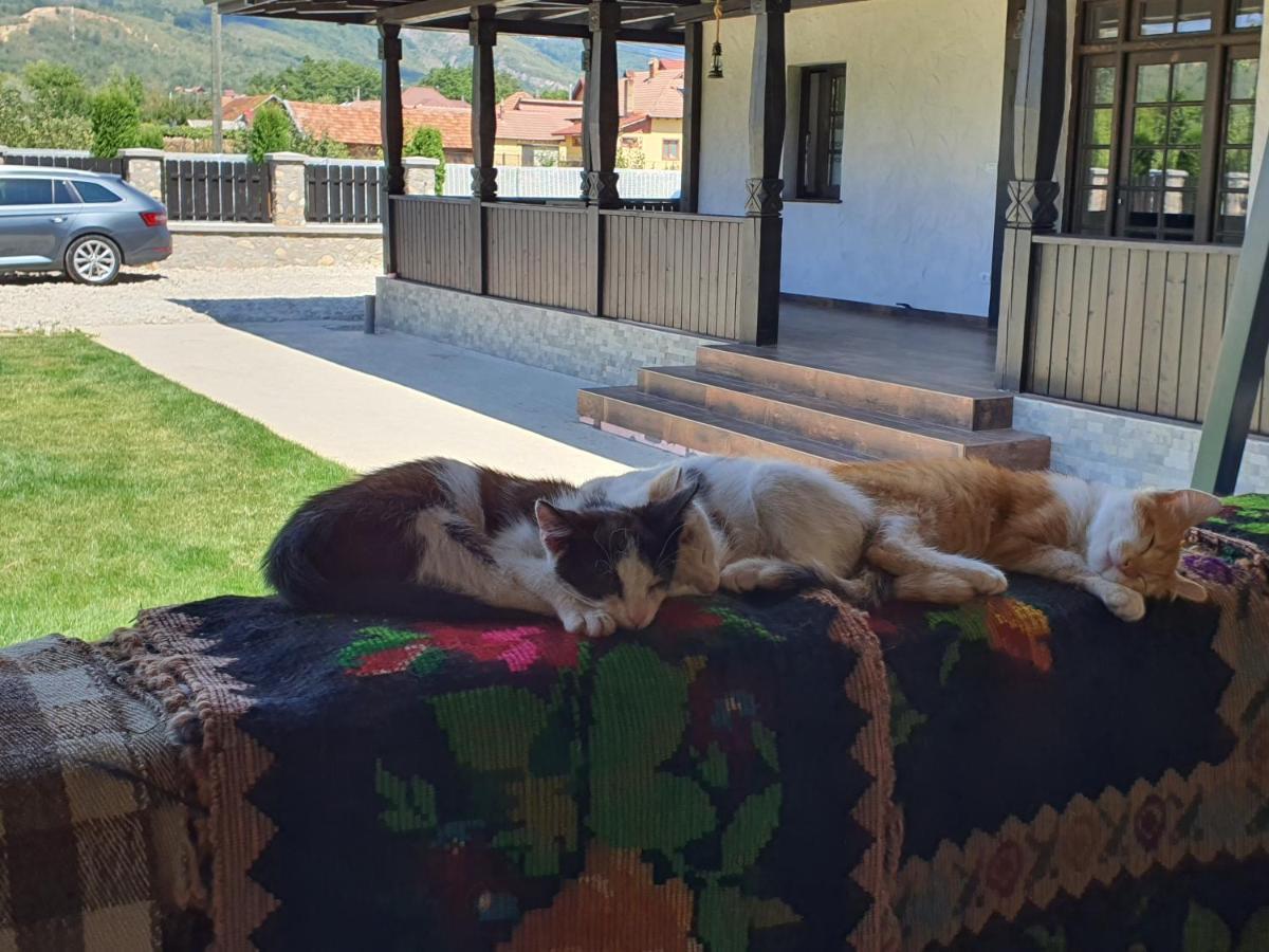 Ograda Bunicilor Villa Baia de Fier Kültér fotó